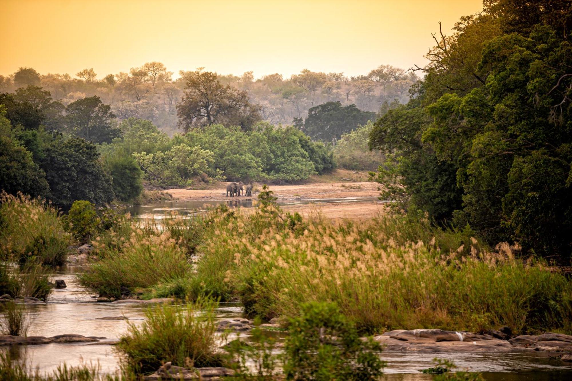 Rhino Post Safari Lodge Skukuza Exterior photo